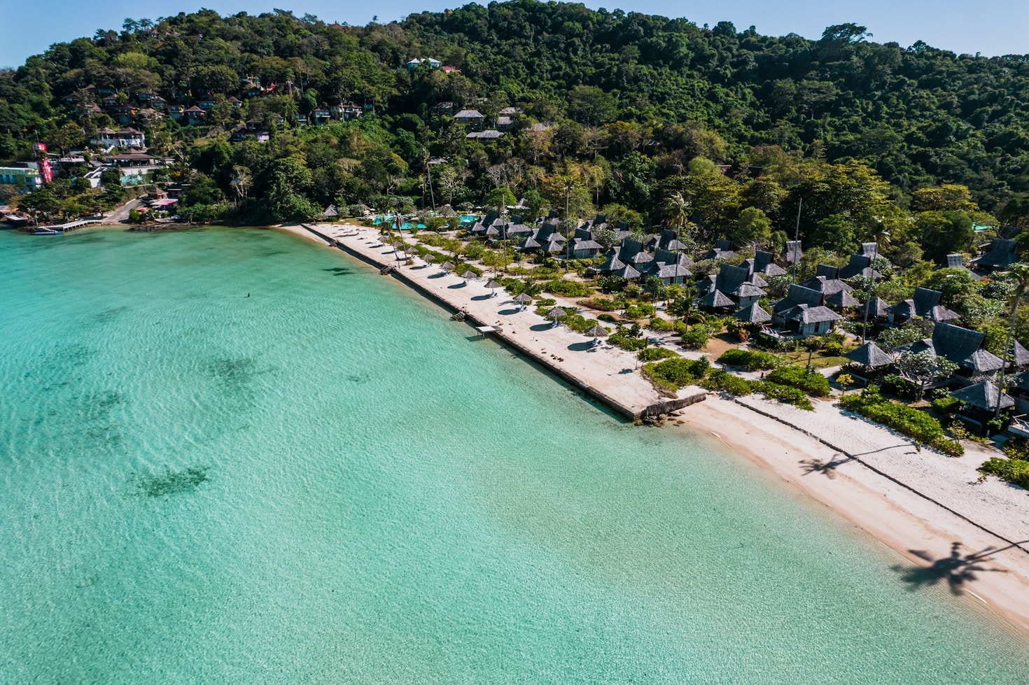 Catering Excellence: Digitra’s Commitment to Flavor